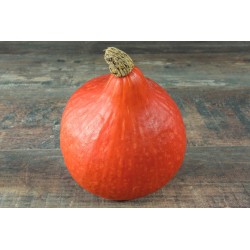 Potimarron