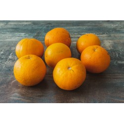 Oranges BIO