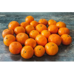 Clémentines BIO (Sicile)