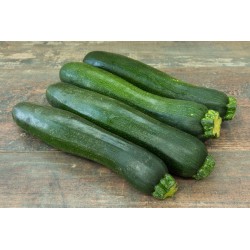 Courgettes