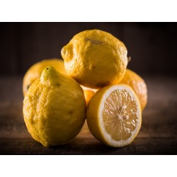 Citrons NON traités